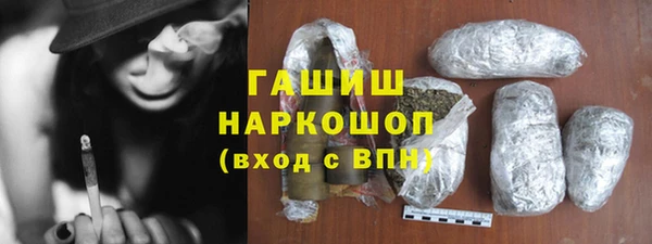 гидра Новозыбков