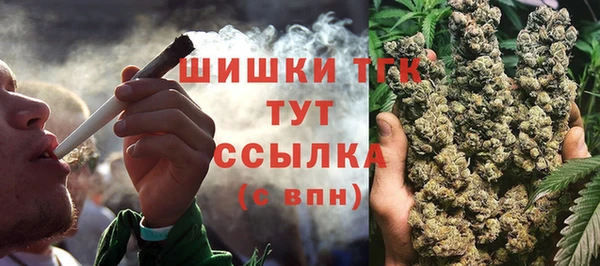 СК Алзамай