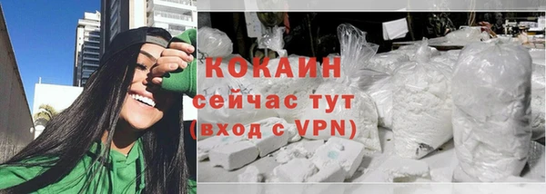 кокс Алексин
