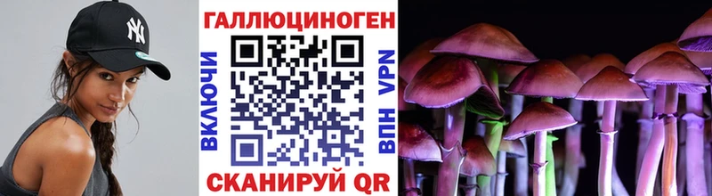 Псилоцибиновые грибы Cubensis  Шелехов 